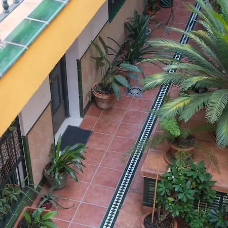Junto A Setas De Appartement *